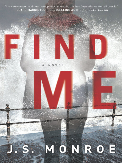 Title details for Find Me by J.S. Monroe - Wait list